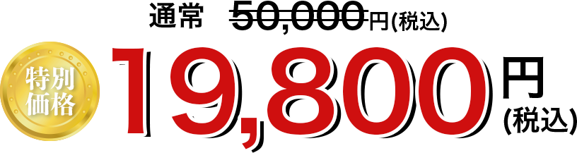 特別価格19,800円